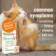 Product HomeoPet Feline Skin & Itch Cat Supplement, 15 ml bottle