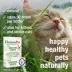 HomeoPet Feline Digestive Upsets Cat Supplement, 15 ml bottle image thumbnail 5