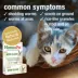 HomeoPet® Cat Supplement - Natural Dewormer for Hookworms, Roundworms, Tapeworms & Whipworms, 15 ml image thumbnail 4
