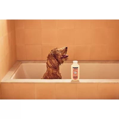 Mrs. Meyer's Clean Day 3 in 1 Dog Shampoo - White Peach Scent, 414ml - Image 6