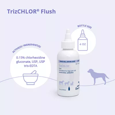 Product Dechra, TrizChlor Flush for Dogs & Cats, Multicleanse Ear Flush, 4 Fl Oz