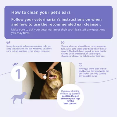Product Dechra, TrizChlor Flush for Dogs & Cats, Multicleanse Ear Flush, 4 Fl Oz