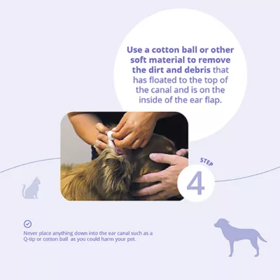 Product Dechra, TrizChlor Flush for Dogs & Cats, Multicleanse Ear Flush, 4 Fl Oz