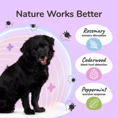 kin+kind Dog Flea & Tick Travel Kit with Repel Spray's for Dog & Home/Car, Flea Comb & Tick Tool - Image 3