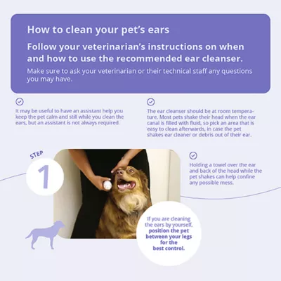 Product Dechra, TrizULTRA + Keto Flush Skin & Ear Cleaner for Dogs, Cats & Horses