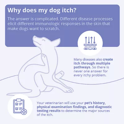 Product Dechra, Mal-A-Ket Plus TrizEDTA Conditioning Spray for Dogs & Cats, 8 Fl Oz