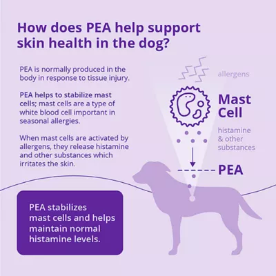 Dechra, Redonyl Ultra Soft Chews for Dogs, 120 Count - Image 6