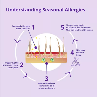 Dechra, Redonyl Ultra Soft Chews for Dogs, 120 Count - Image 7