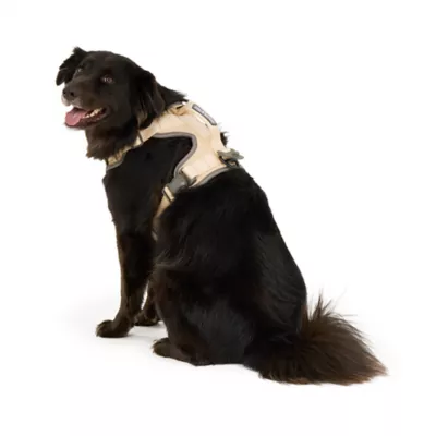 Arcadia Trail® Magnetic Harness - Image 2