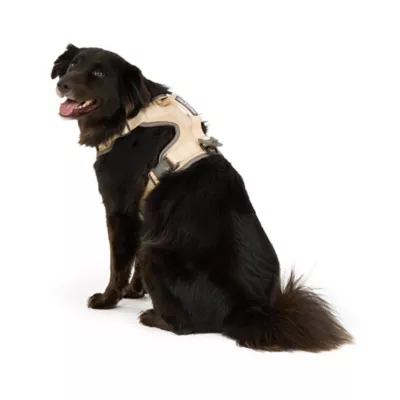 Arcadia Trail® Magnetic Harness - Image 2