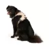 Arcadia Trail® Magnetic Harness image thumbnail 2