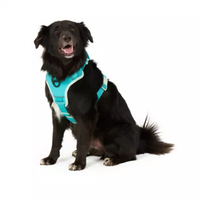 Arcadia Trail® Magnetic Harness - Image 1