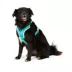 Arcadia Trail® Magnetic Harness image thumbnail 1
