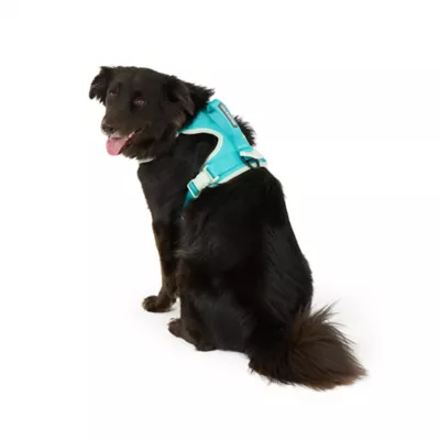 Arcadia Trail® Magnetic Harness - Image 2