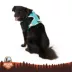 Arcadia Trail® Magnetic Harness image thumbnail 2