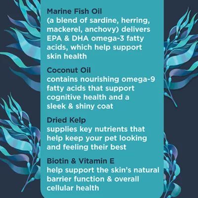 Product Nulo Functional Omega Skin & Coat Dog Supplement, Made with Omega-9 Fatty Acids, 90 Count