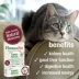 HomeoPet® Cat Supplement - Natural Kidney Rescue & Liver Support, 15 ml image thumbnail 4