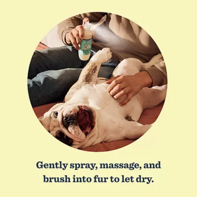 Mrs. Meyer's Clean Day Dog Deodorizing Spray - Sweet Chamomile Scent, 236ml - Image 4