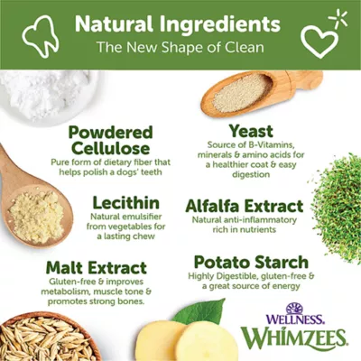 WHIMZEES Brushzees Extra Large Dental Dog Treats - Natural, Grain Free Box 4 lbs - Image 5