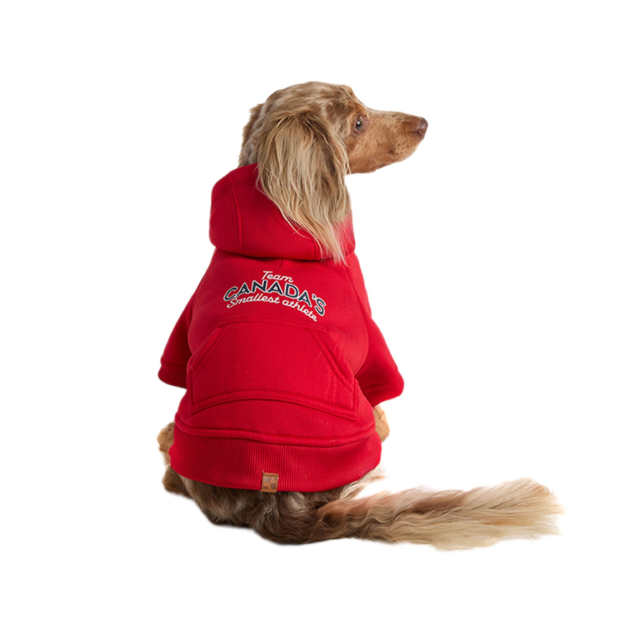 dog wearing a red hoodie 
