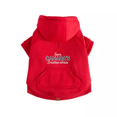 HOTEL DOGGY "Play to Win" Fleece Dog Hoodie - Image 3