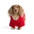 HOTEL DOGGY "Play to Win" Fleece Dog Hoodie image thumbnail 4