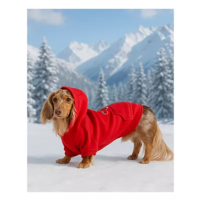 HOTEL DOGGY "Play to Win" Fleece Dog Hoodie - Image 6