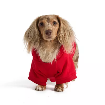 Product HOTEL DOGGY "Play to Win" Fleece Dog Hoodie