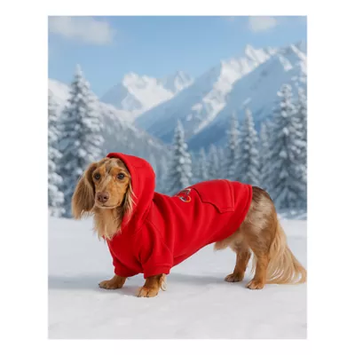 Product HOTEL DOGGY "Play to Win" Fleece Dog Hoodie