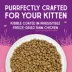 Stella & Chewy's Raw Coated Kibble Kitten Dry Food - Grain Free, Chicken Recipe image thumbnail 2