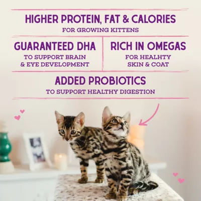 Stella & Chewy's Raw Coated Kibble Kitten Dry Food - Grain Free, Chicken Recipe - Image 3