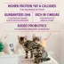 Stella & Chewy's Raw Coated Kibble Kitten Dry Food - Grain Free, Chicken Recipe image thumbnail 3
