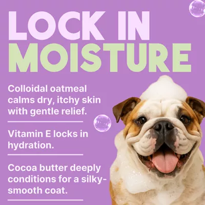 TropiClean Kiwi and Cocoa Butter Conditioner, 591ml - Image 4