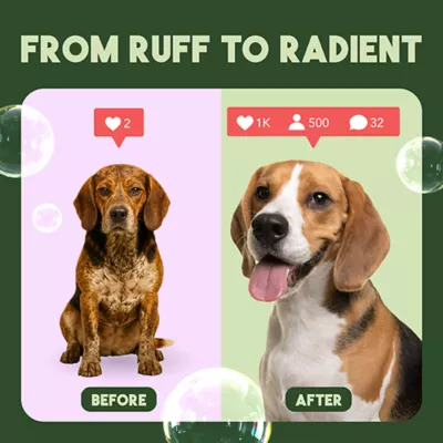 TropiClean Kiwi and Cocoa Butter Conditioner, 591ml - Image 6