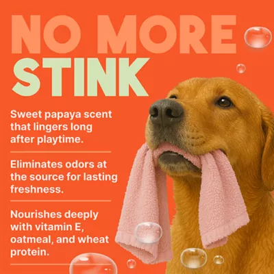 TropiClean Papaya Mist Deodorizing Spray, 236ml - Image 4