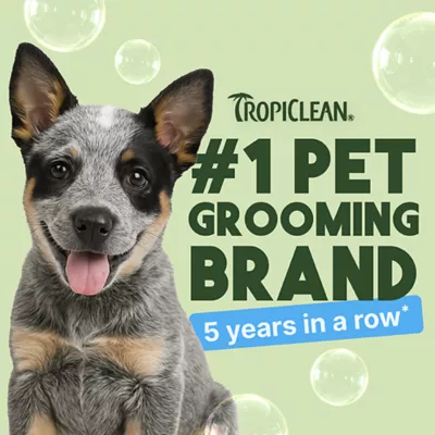 TropiClean Gentle Coconut Hypoallergenic Puppy & Kitten Shampoo, 591ml - Image 3