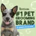 TropiClean Gentle Coconut Hypoallergenic Puppy & Kitten Shampoo, 591ml image thumbnail 3