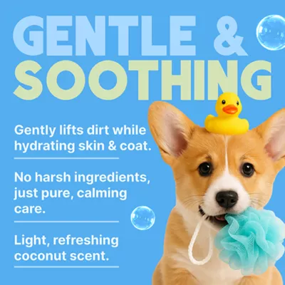 TropiClean Gentle Coconut Hypoallergenic Puppy & Kitten Shampoo, 591ml - Image 4