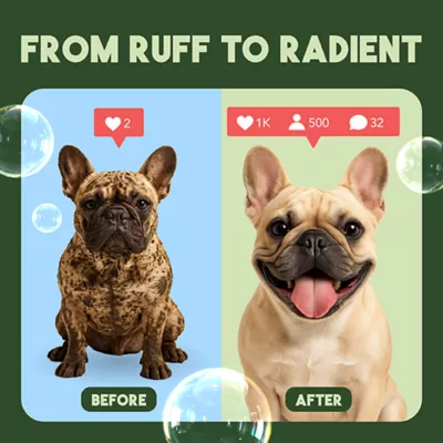 TropiClean Gentle Coconut Hypoallergenic Puppy & Kitten Shampoo, 591ml - Image 6