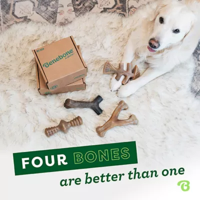 Benebone® 4 Pack Dog Chew Toys - Image 2