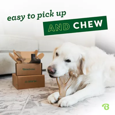 Benebone® 4 Pack Dog Chew Toys - Image 4
