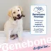 Benebone® Small 4 Pack Dog Chew Toys image thumbnail 7