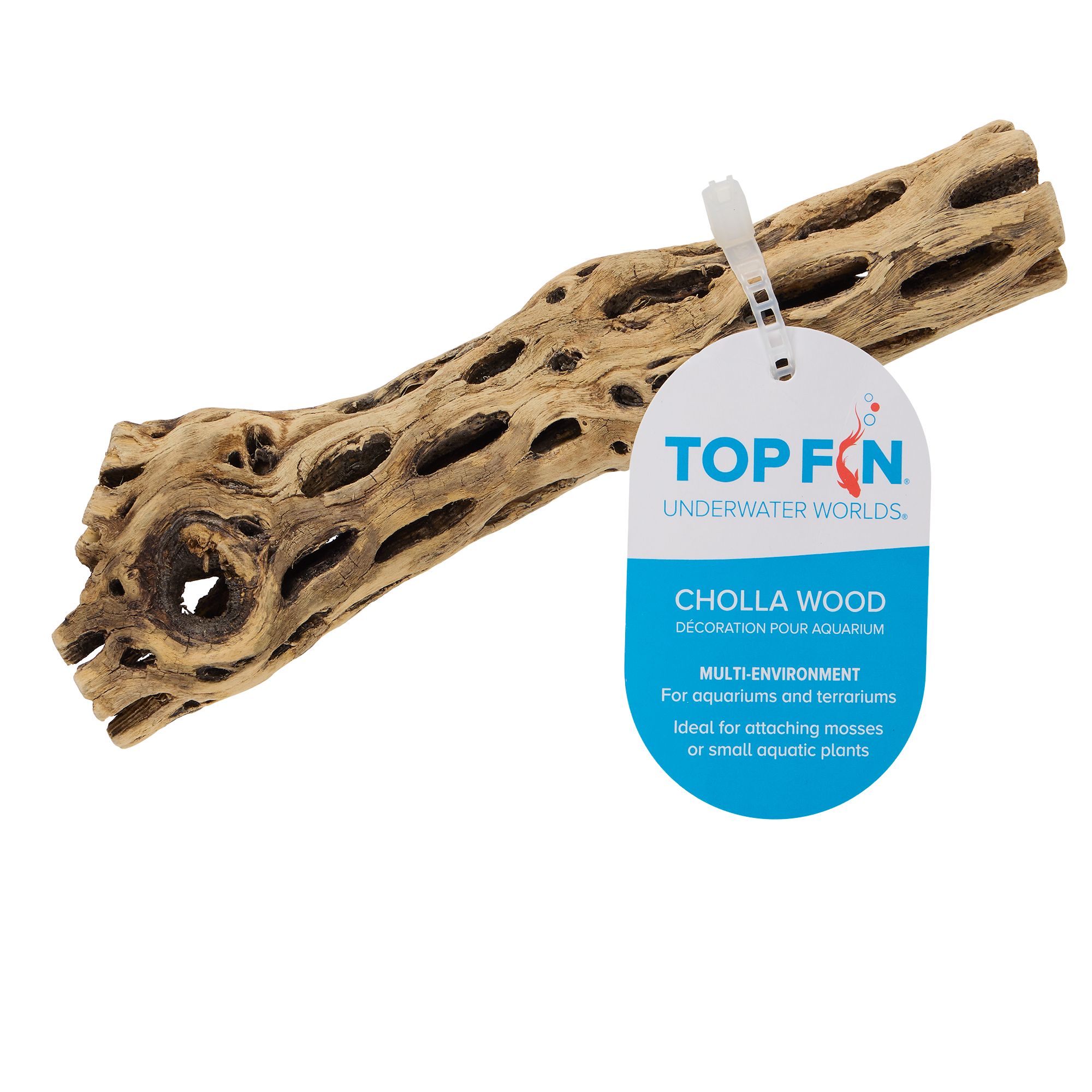 Top Fin Live Cholla Wood