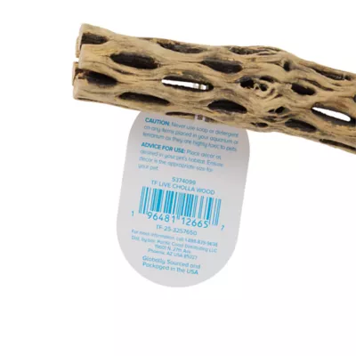 Top Fin® Underwater Worlds® Live Cholla Wood - Image 3
