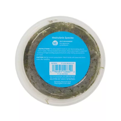Top Fin® Underwater Worlds® Live Plant Moss Cup - Image 3