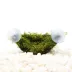 Top Fin® Underwater Worlds® Live Plant Coco Husk With Moss image thumbnail 1