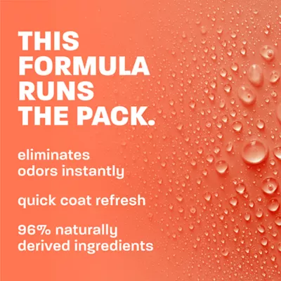 TropiClean Refresh Papaya Deodorizing Spray For Dog & Cat - Long Lasting Scent - 10 FL OZ - Image 3