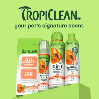 TropiClean Refresh Papaya Deodorizing Spray For Dog & Cat - Long Lasting Scent - 10 FL OZ - Image 8