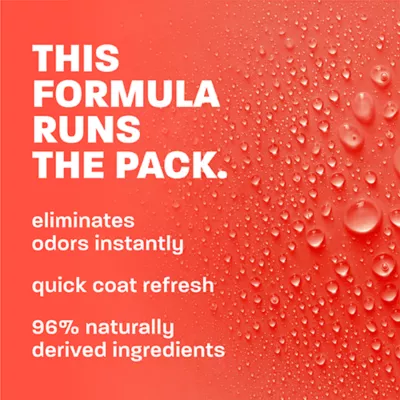 TropiClean Refresh Watermelon Deodorizing Spray For Dog & Cat - Long Lasting Scent - 10 FL OZ - Image 3