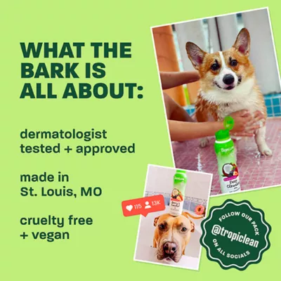 TropiClean Refresh Watermelon Deodorizing Spray For Dog & Cat - Long Lasting Scent - 10 FL OZ - Image 5